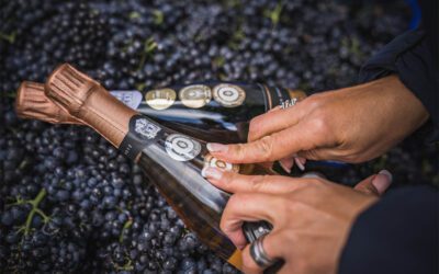 What is English Sparkling Wine?